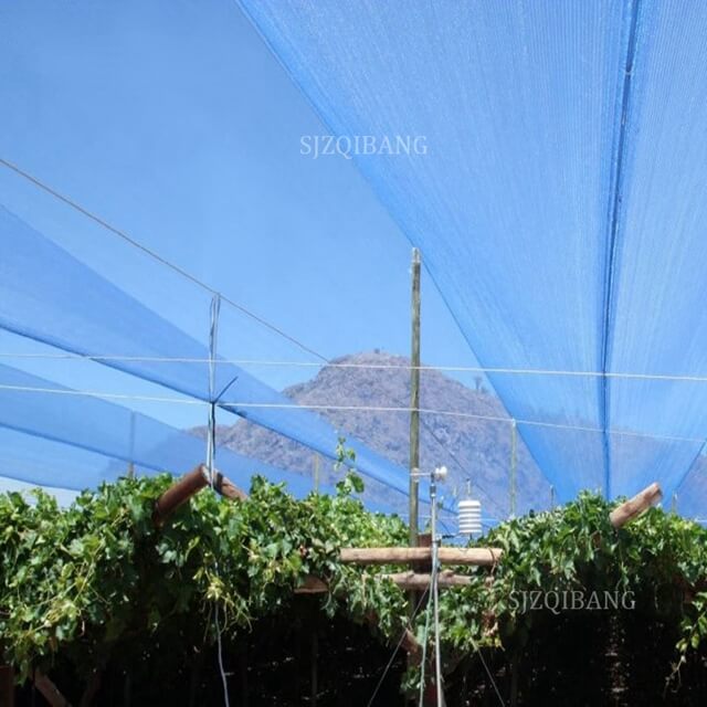 Swimming Pool 100% Virgin HDPE Blue Sun Shade Protection Net