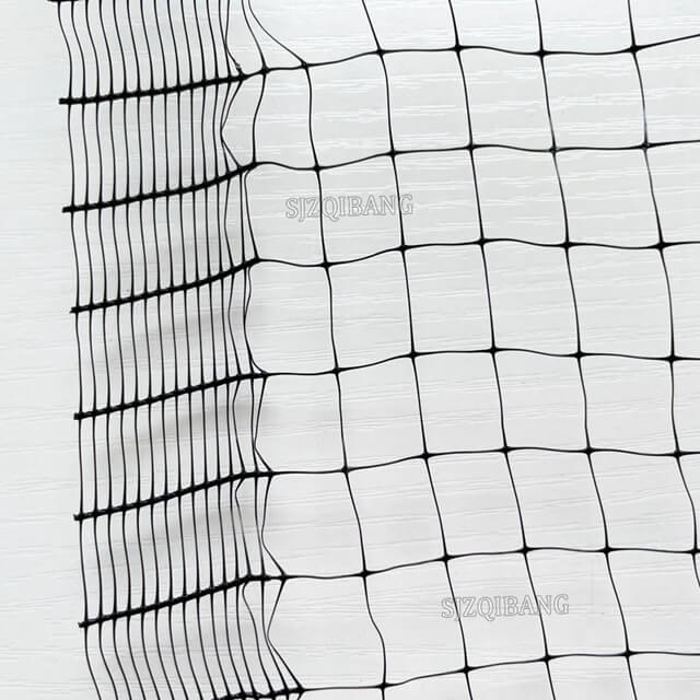 Black Bird Netting