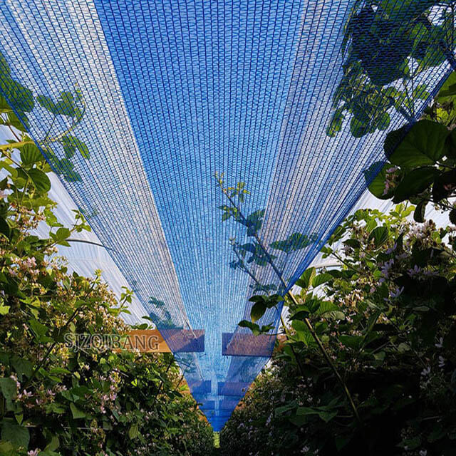 Blue Color Sun Shade Fabric for Greenhouse Plants